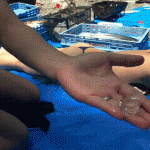 こいつらは間違いなくビッチだぜｗｗｗ尋常じゃないおふざけエロVINEをGIF画像にしたったｗｗｗ
