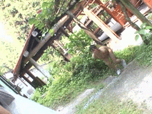 友達とBBQしてる女の子に痴漢！野外で全裸放置する中出しGIF画像
