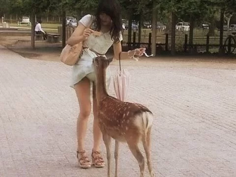 ラッキースケベな瞬間って嬉しくなるよね♪うっかり女の子が撮られてしまったパンツ…ハプニングエ□画像